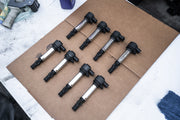 S65 Ignition Coils (Set of 8)