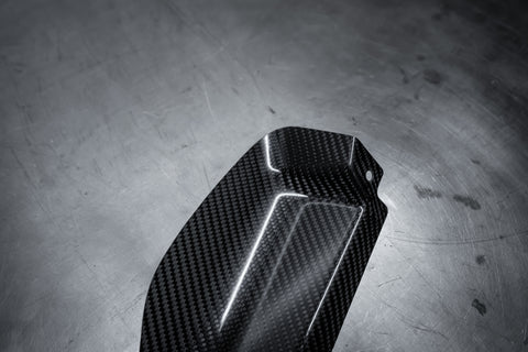 Carbon Intake Scoop (E46 M3)