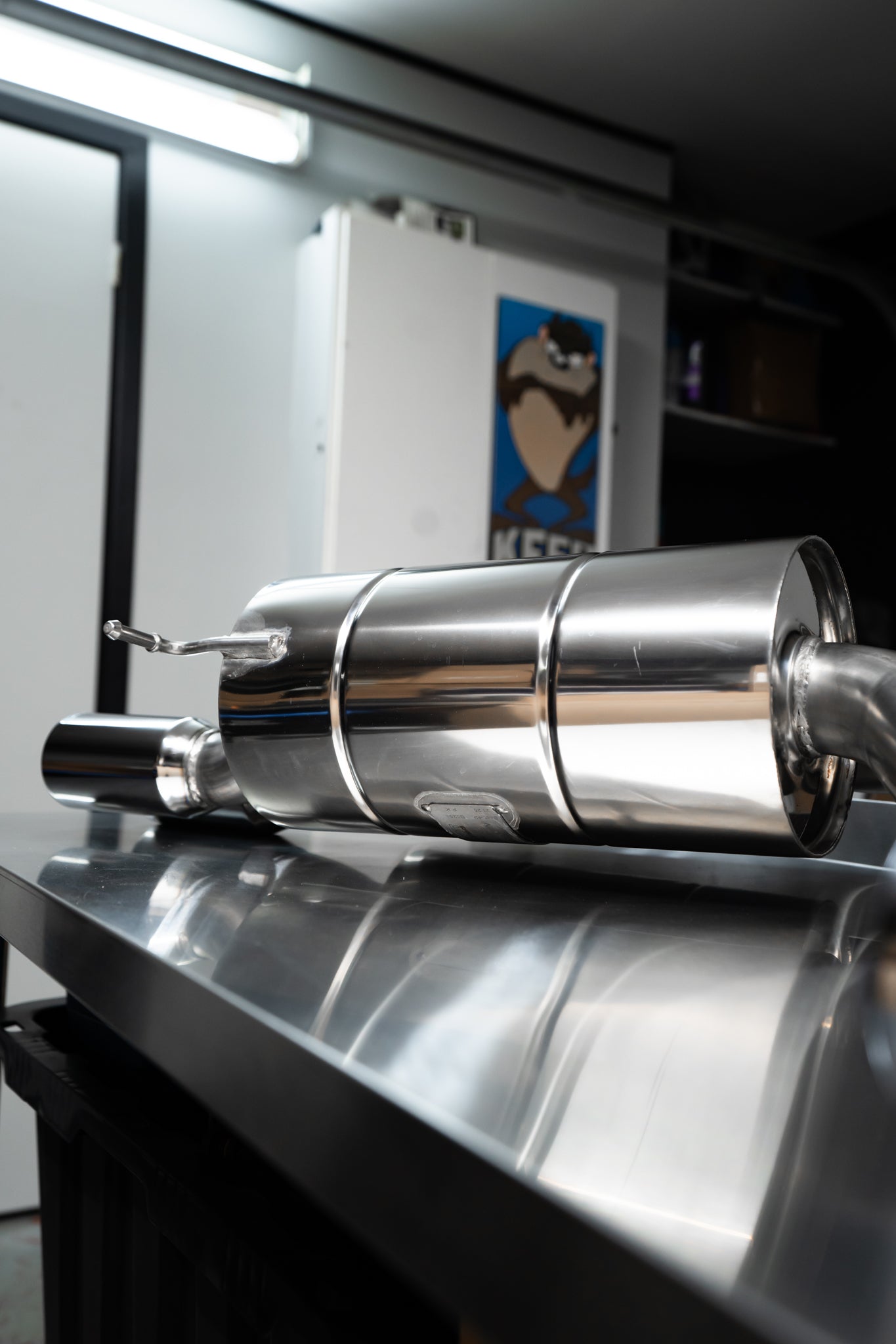 Eisenmann Exhaust (E63 M6) – EuroConnex