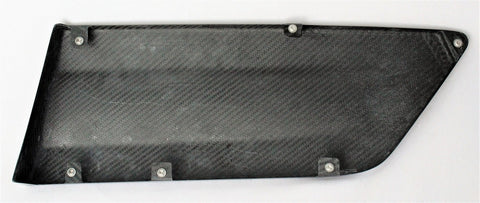 CSL Carbon Door Panels